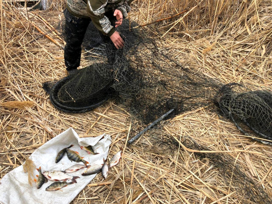 В Астраханском государственном природном заказнике поймали браконьера