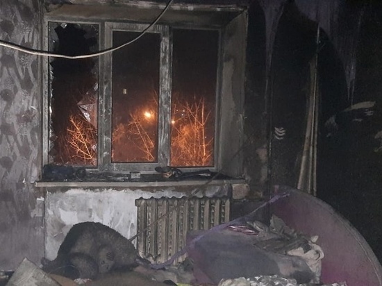 На Южном Урале при пожаре пострадали двое детей