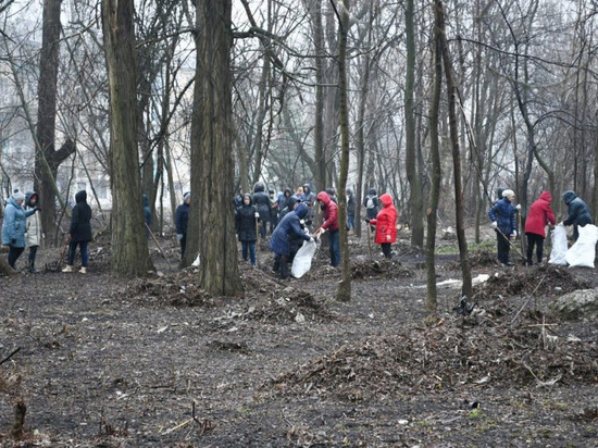 Жители Макеевки очистили городской ставок