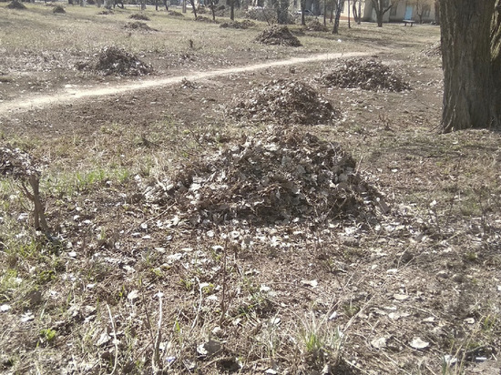 Участниками субботника в ДНР стали более 70 000 жителей