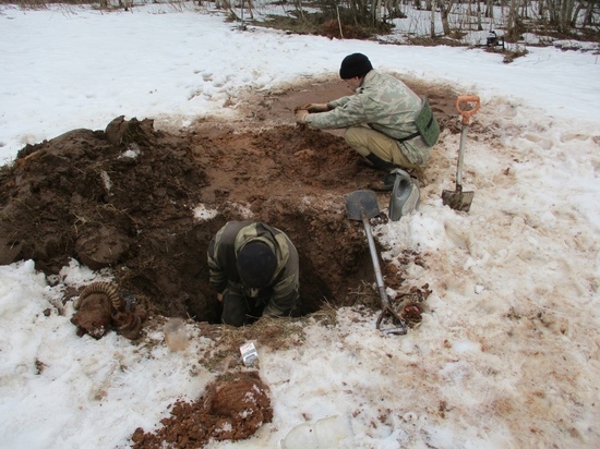 В запаханном после Тверской области нашли останки красноармейца