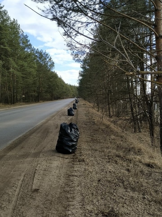 Жительница Тверской области собрала на дороге 20 мешков мусора
