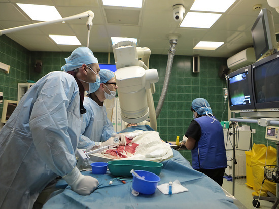 Нижегородские врачи по ошибке удалили пациенту желудок