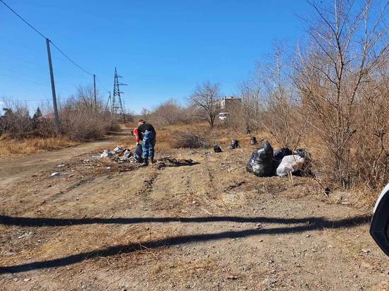 Несанкционированную свалку мусора в Кадале разобрали волонтеры