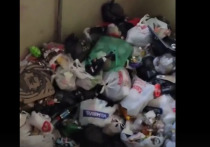 Из дома не вывозят мусор, а жители выбрасывают его прямо из окна или в подъезд