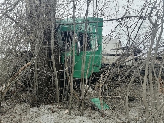 В Марий Эл водитель грузовика пострадал при наезде на дерево