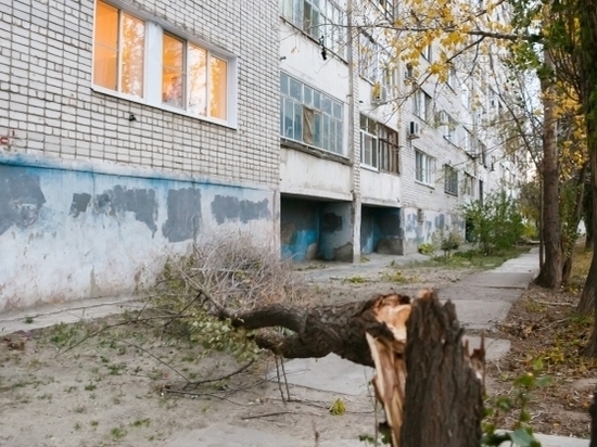 На юге Волгограда упавшее дерево насмерть задавило женщину