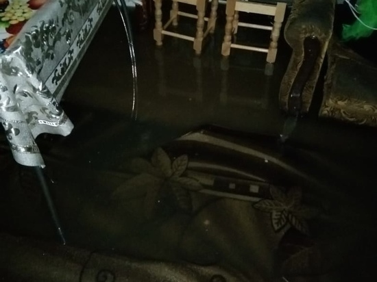 Жители Сасова показали губернатору затопленные из-за паводка дома