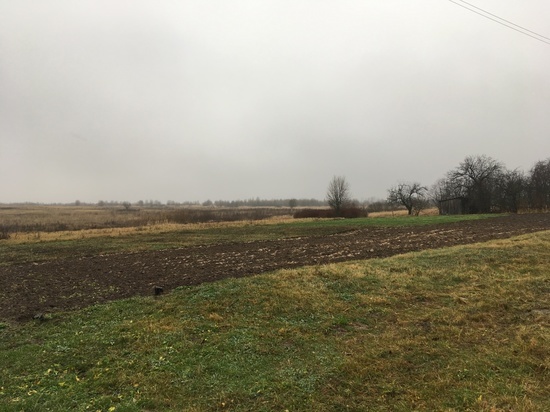 В Смоленской области в 2021 году увеличили посевные площади зерна и картофеля