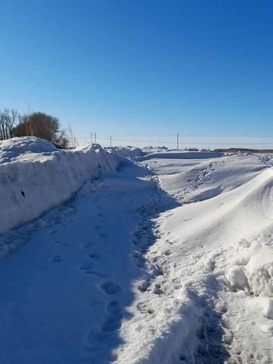 Дети в омской деревни не могут дойти до школы из-за заваленной снегом дороги