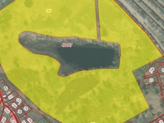 Власти рассказали, кто арендовал землю у озера Варежка в Барнауле