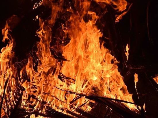 Лес в Приамурье горел девять раз за неделю