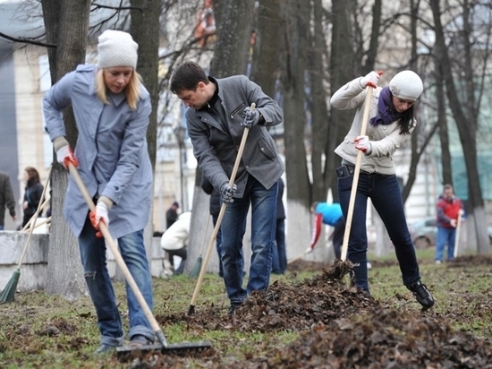 В Ярославле назвали дату общегородского субботника