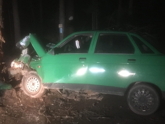 В Твери нашли разбитый об дерево автомобиль