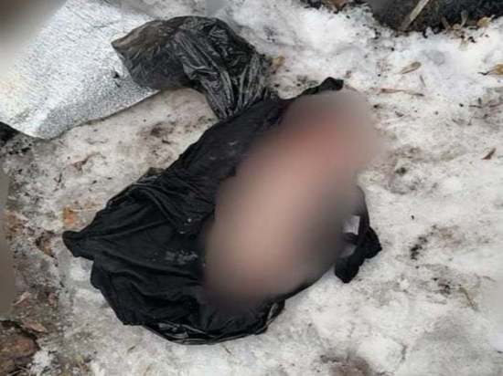 Младенец, тело которого нашли в поселке Мирный, был убит