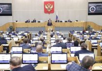 Для российских государственных и муниципальных служащих предложили запретить второе гражданство