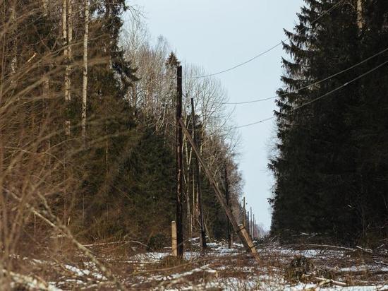 Тверской филиал «Россети Центр» повышает надежность электроснабжения потребителей Лесного района электрических сетей