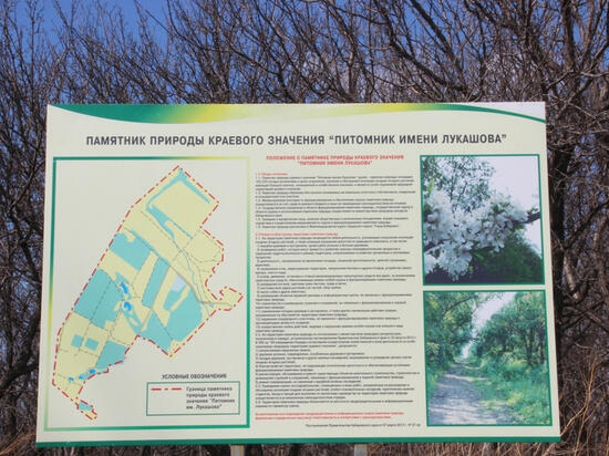 Хабаровчане предложат решения по благоустройству «Питомника имени Лукашова»