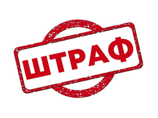 Жителя Тверской области оштрафовали за заросли на участке