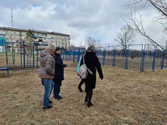 В Биробиджане во время санитарной чистки проведут озеленение