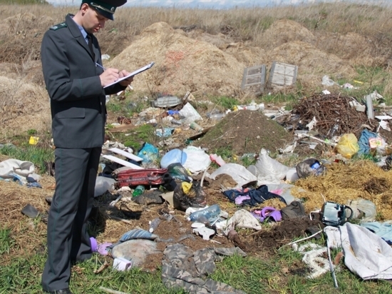 В Мурманской области нарушителей природоохранных норм оштрафовали почти на 2 миллиона рублей