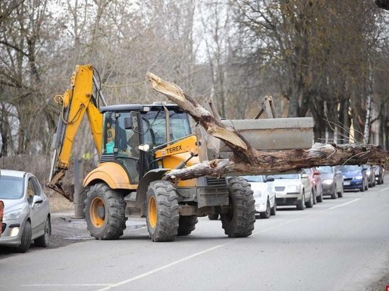 Дерево упало на дорогу на улице Труда в Пскове