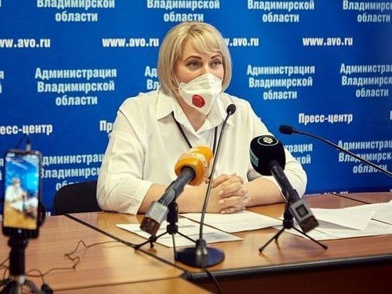 Виктория Кулыгина покинула пост директора департамента предпринимательства Владимирской области