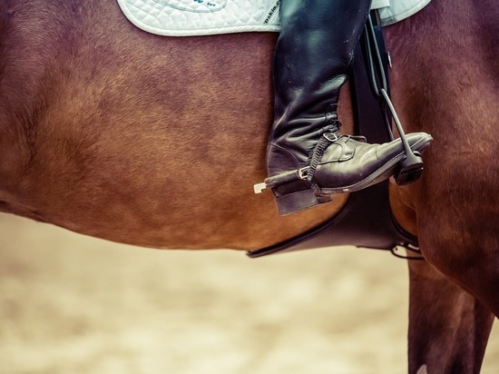 В Смоленске проходит Чемпионат и Первенство города по конному спорту