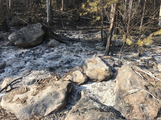 Под суд пойдёт турист из Иркутска, устроивший лесной пожар в заказнике