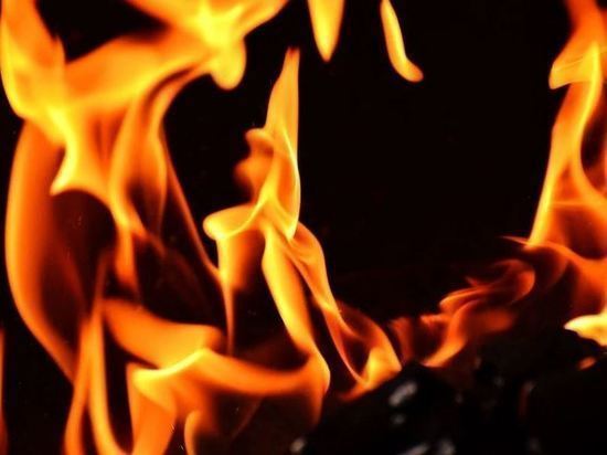 Амурские пожарные потушили 15 палов за прошедшие сутки
