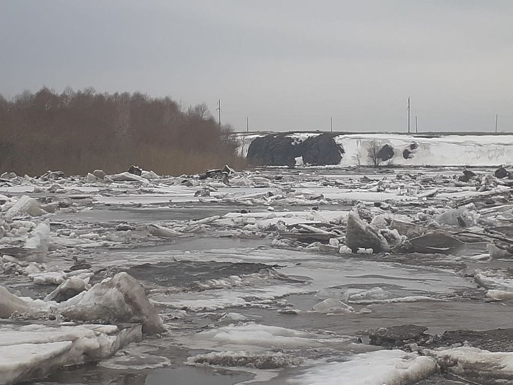 Смоет или зальет: как Алтайский край встречает масштабный паводок