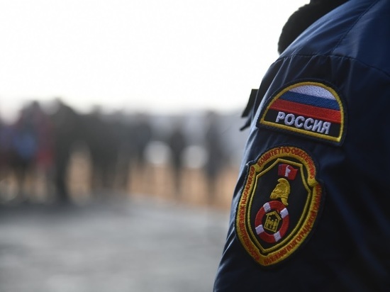 Стражи порядка  в Волжском задержали курьера телефонных мошенников