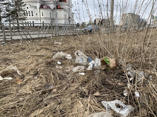 Площадь Профсоюзов в Архангельске зарастает мусором