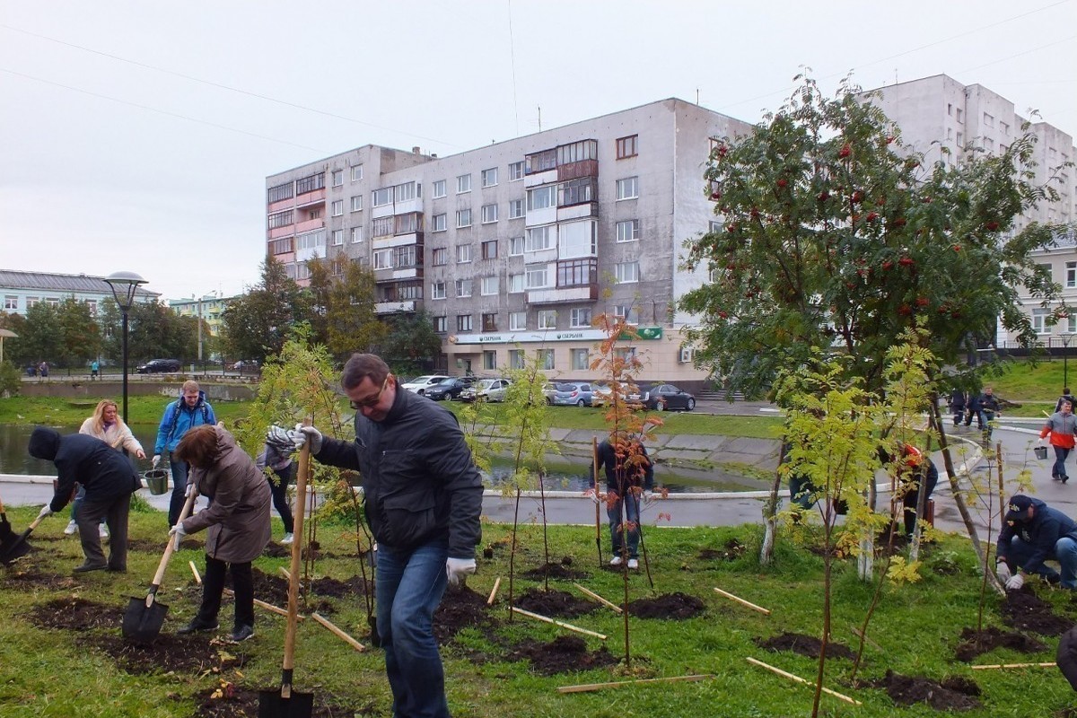 Три территории. Озеленение в Мурманске. Озеленение территории Мурманск. Мурманск летом Озеленение. Озеленение Заполярья.