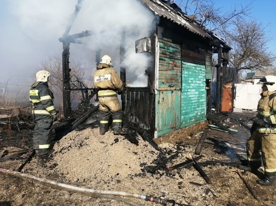 В Туле на пожаре в дачном поселке «Бежка» пострадал мужчина