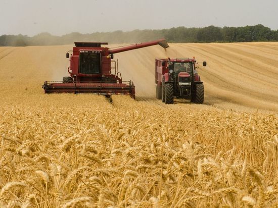 Известный аграрий выплатит в бюджет Бурятии более 3 млн рублей ущерба