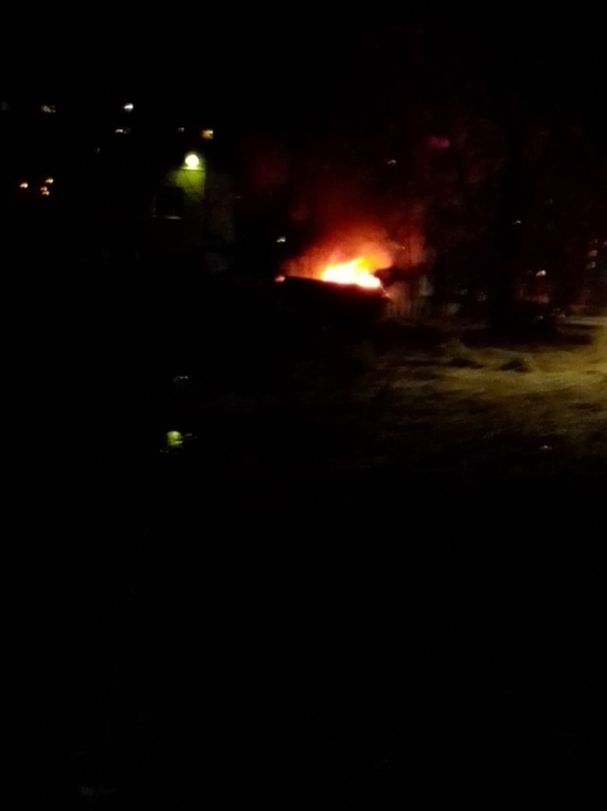 Ночью в Тверской области подожгли мусорку