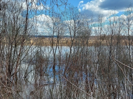 В реке Калужской области ищут тело утонувшего рыбака