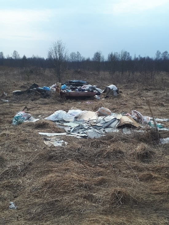 В Тверской области кто-то сваливает мусор прямо у дороги