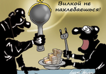 Завышенные или заниженные в России тарифы на электроэнергию? Вот в чем вопрос
