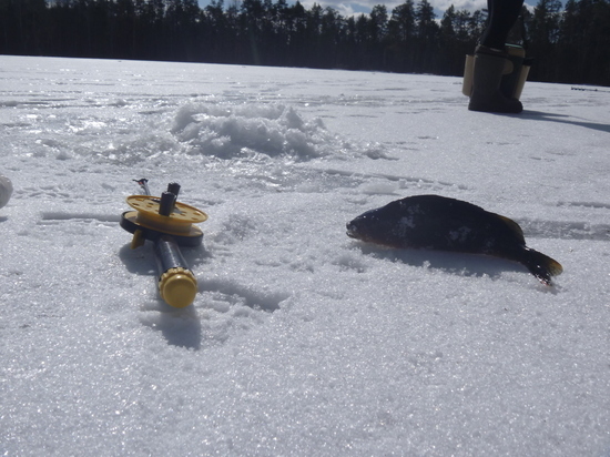 В Вологодской области появились случаи провала под лед