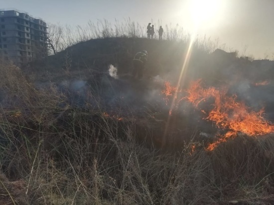 В Хабаровском крае пожарные 48 раз выезжали на тушение палов травы и горящего мусора