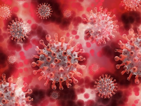 За сутки выявлены 43 заболевших коронавирусом забайкальцев, вылечены 26
