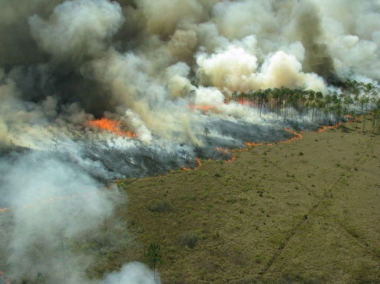 Часть районов Забайкалья еще не готова к пожароопасному сезону