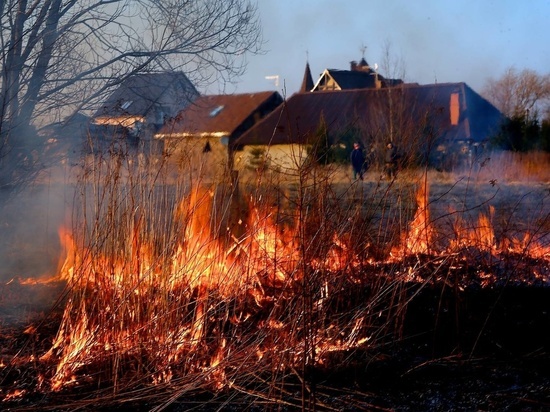 В Ярославской области начался сезон пожаров из-за пала травы