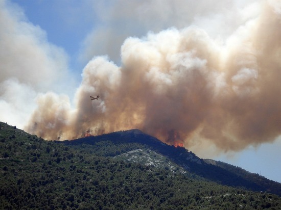 Дополнительные ограничения введут в лесах Забайкалья из-за пожаров