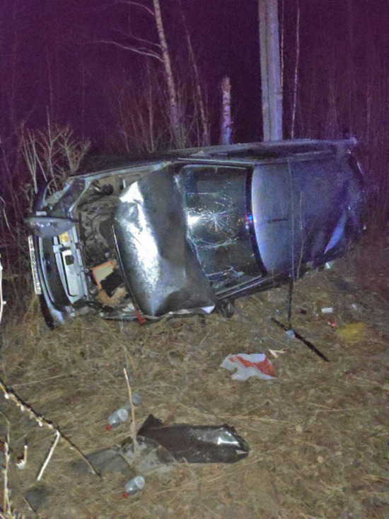В Тамбовском районе легковушка вылетел в кювет: водитель скончался