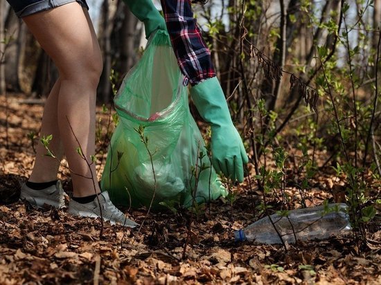 Опубликован перечень территорий для уборки активистами в рамках конкурса "Чистый Псков"