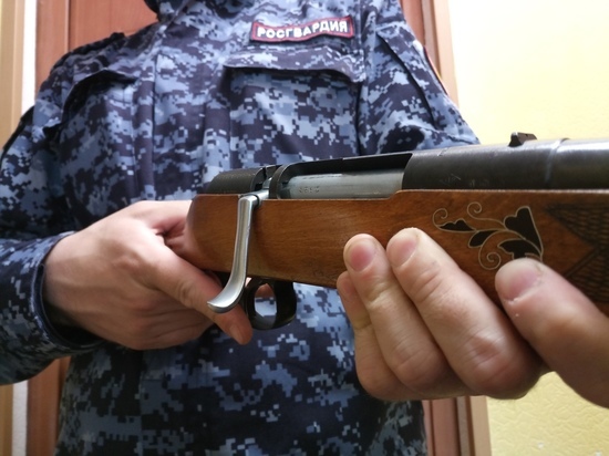За неделю Росгвардия изъяла у жителей Поморья более 50 единиц оружия