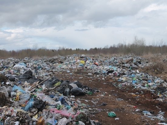 Генпрокуратура обратила внимание на реализацию мусорной реформы